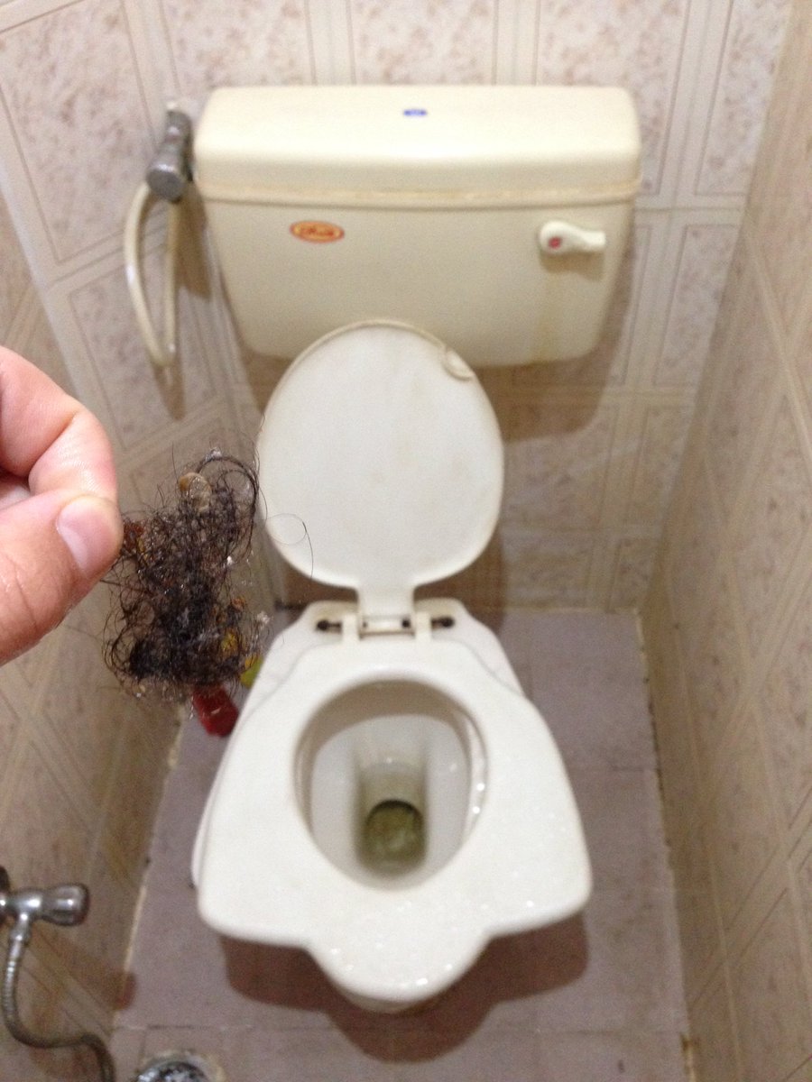 Hands down the dirtiest @Airbnb i've ever slept. The amount of hair is  insane. Funny toilet seat though, image size:900x1200