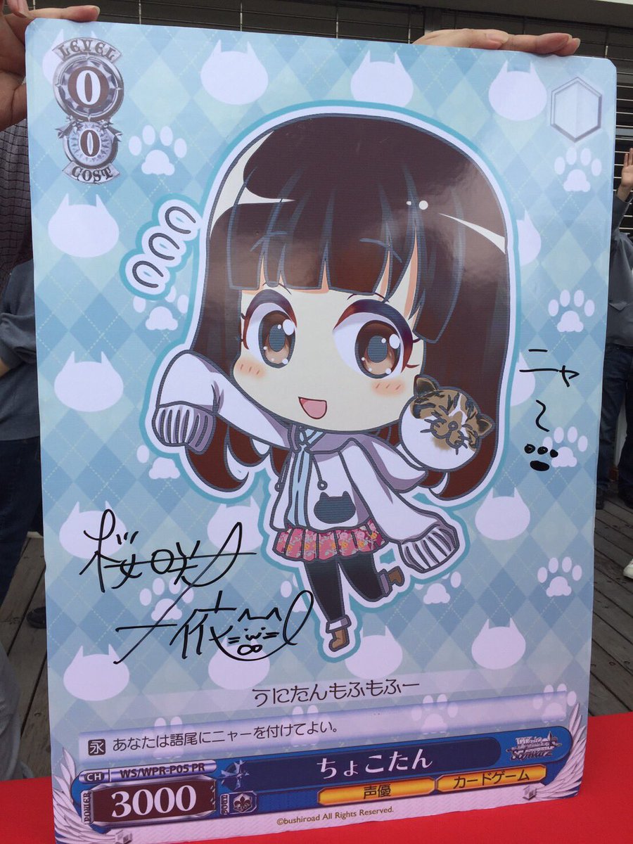 WS PR ちょこたん