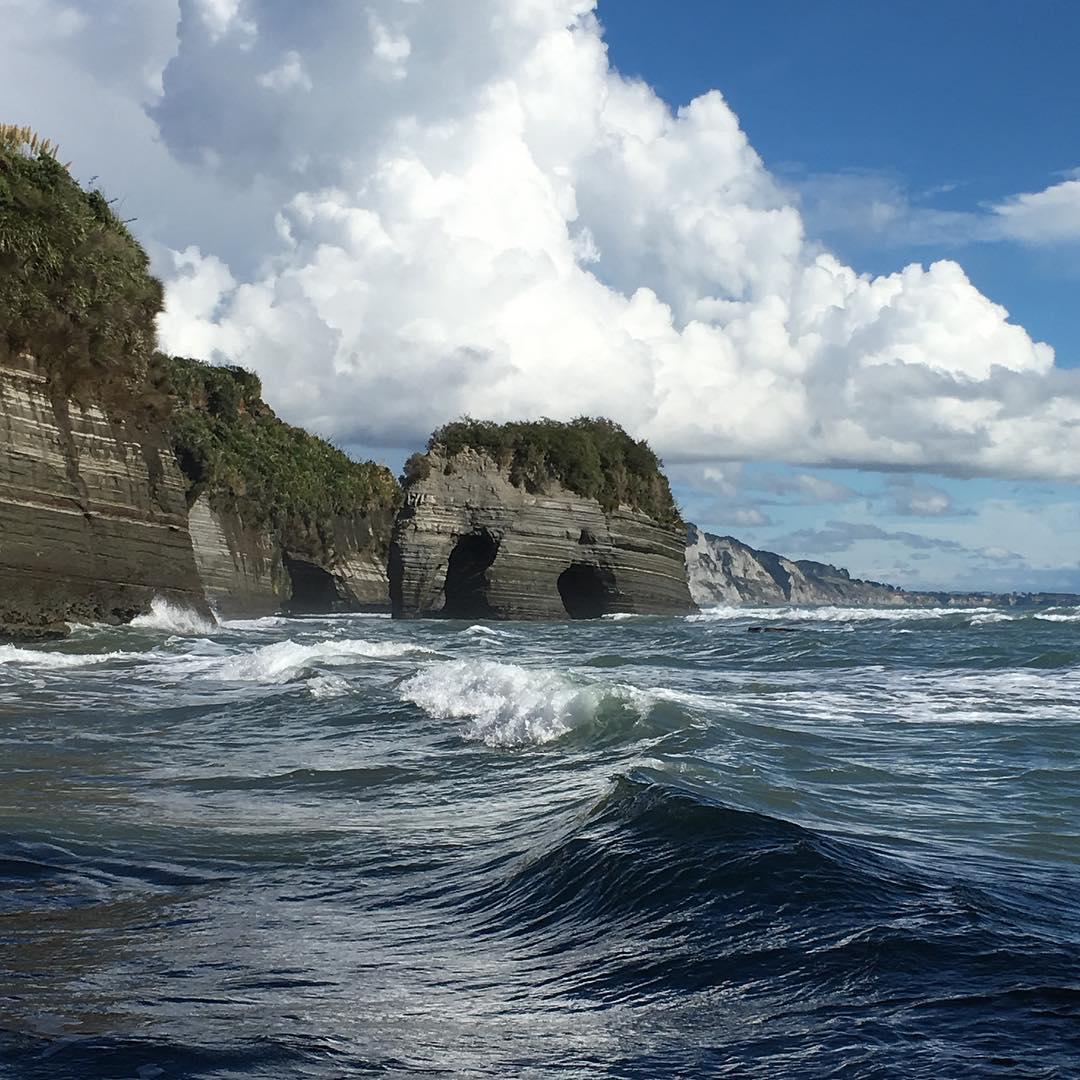 PureNewZealand's tweet photo. Elephant Rock. #NZMustDo [📍 Taranaki, North Island 📷: van.ci.ova ]

#Travel #NewZealand #NZ #Nature https://t.co/kMQjYO2wNx