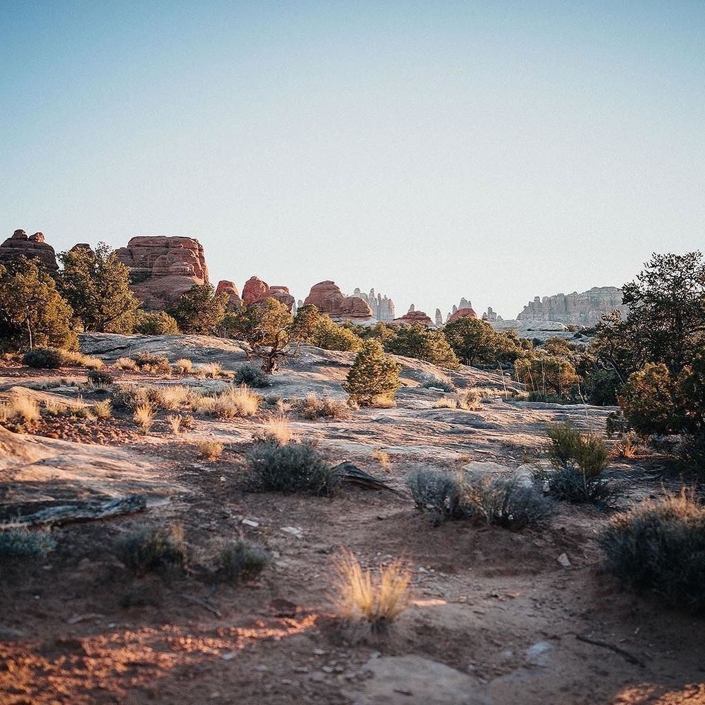 printgallery_'s tweet photo. 'Canyonlands' by Cody Cobb available in limited release starting from $390. Don't leave bl… https://t.co/lfCVCeTsfu https://t.co/yqiLJuJYGK