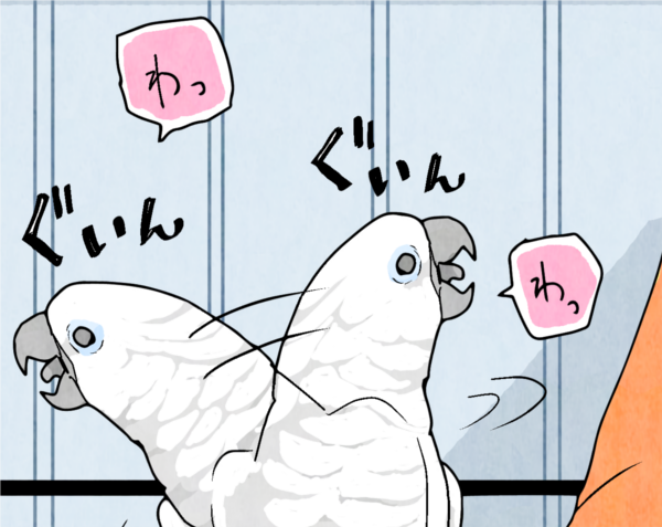 マイナビニュースでオウム４コマ更新しました！

オウム４コマリンク
 