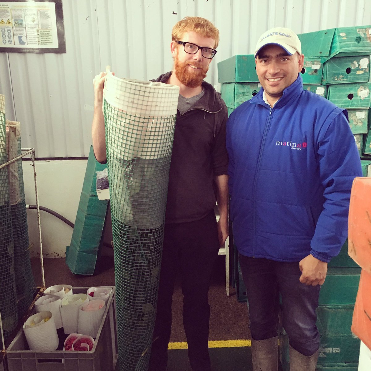 NTCImportExport's tweet photo. 120cm roses getting ready to be shipped #Colombianroses #ntcimportexport #lomejordecolombia #larespuestaescolombia https://t.co/oWvbeCwId7