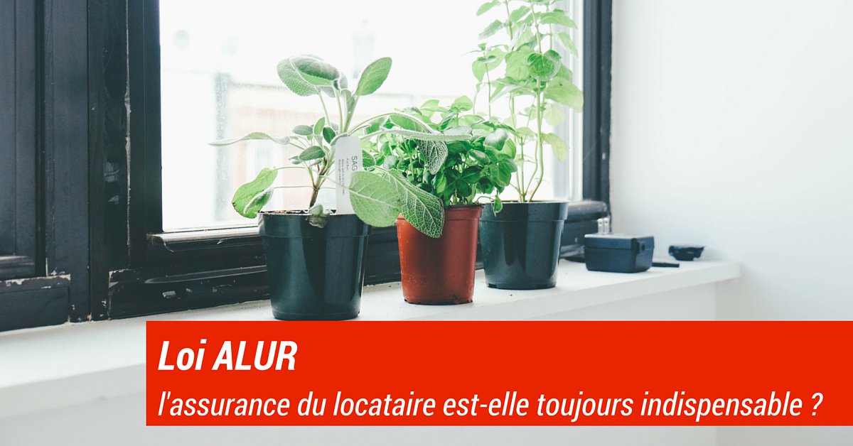 BailleurPro's tweet photo. Loi #ALUR : l'assurance du locataire est-elle toujours indispensable ? https://t.co/LekMktF3qn https://t.co/qI45Cy3cfD