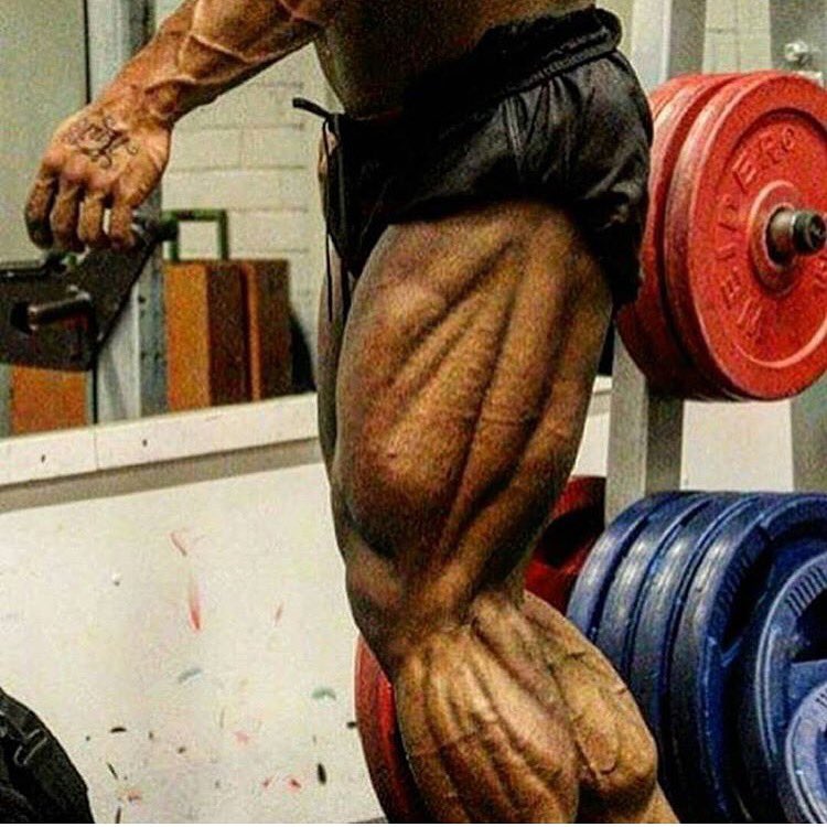 SquatSocks's tweet photo. TAG A LEG LOVER π£
πhttps://t.co/wvia2ctMir
#legs #legday #motivation #gym #fitness #squatsocks
YOU vs YOU https://t.co/r9IIRCExEw
