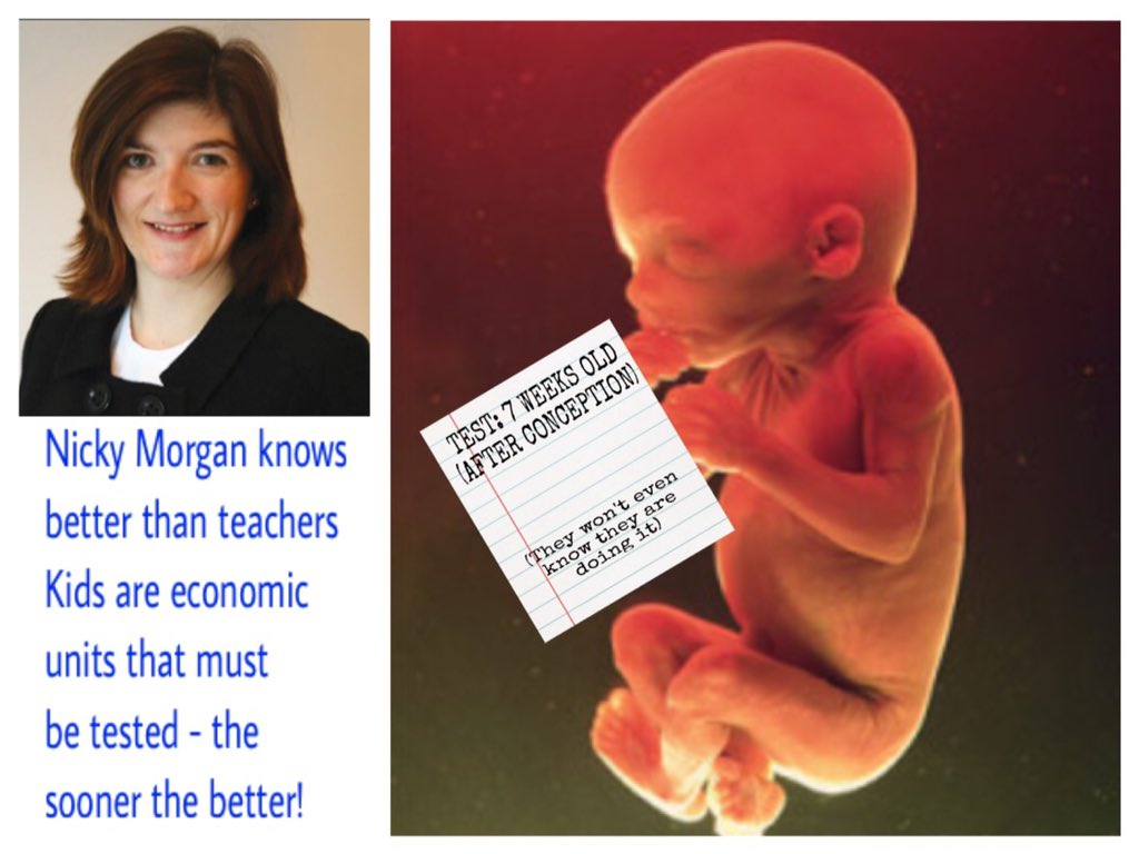 grahamarpark's tweet photo. How dare parents support  #KidsStrike3rdMay
#ThickyNicky knows what's best for kids. Testing...the sooner the better https://t.co/dEG8yEjrYv