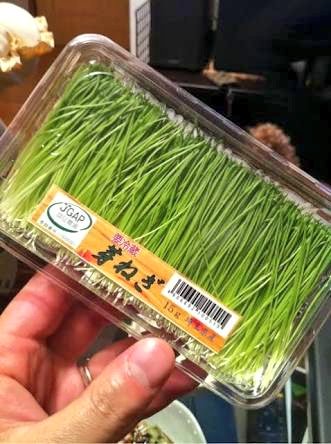 تويتر Sain Vivre サン ビブレ على تويتر 細い葱みたいな シブレット は洋食の飾りで見かけます これからの時期は シブレットの花 も販売 O O 花付き 和食や河豚料理に添えられるのは あさつき や 将軍葱 細くて小さな 芽葱 などもありますよ