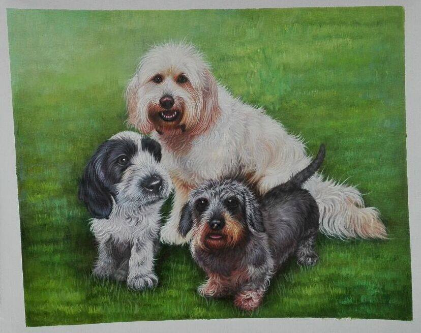 TypicalDogs's tweet image. Beautiful dogs😍