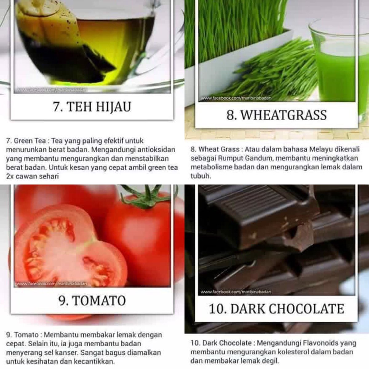 10 Makanan Terbaik Bantu Bakar Lemak