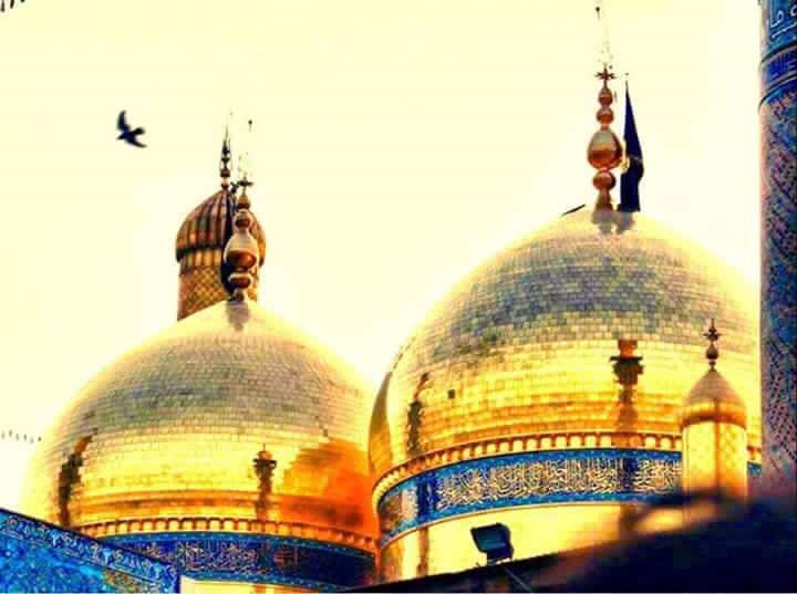 altaie_lawyer's tweet photo. اذا #كلبك حزين وشايل اهموم
وكل دگة گلب #مخنوگ بالعبرة
#اسد بغداد يمك مايسد باب
مثل جدة #علي مايطرد الفقرة https://t.co/evUFNLApa8