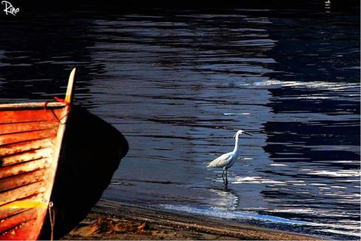 Ecco cosa accade #nonAppena smette di piovere #Lampedusa ph Rino Dragonetti #springinsicily #yummysicily