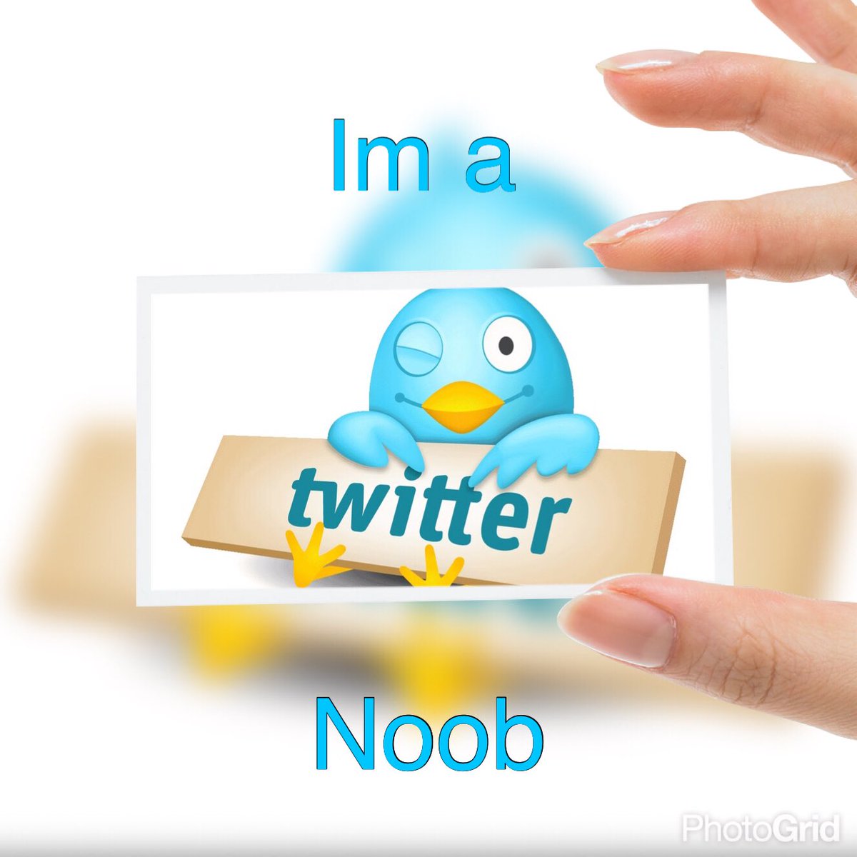 TheElizabyte's tweet photo. New to Twitter? Me too! Time to get social! #Twitter #noob #followback #itsfun https://t.co/MyVf6bL7AZ