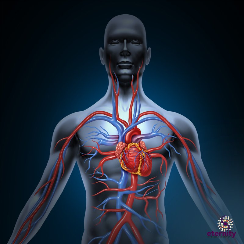 EternityClinics's tweet image. #Eternity #circulationsupport is a world-famous product that maintains blood clotting factors. #HealthCare #Medicine