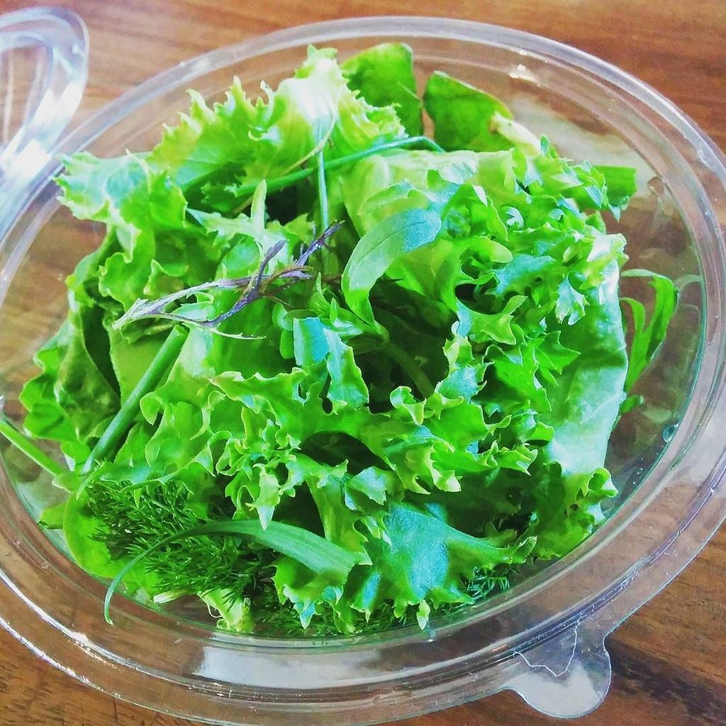 How to make our salad part one! First layer a bed of delicious locally sourced greens from… ift.tt/24lDgOK