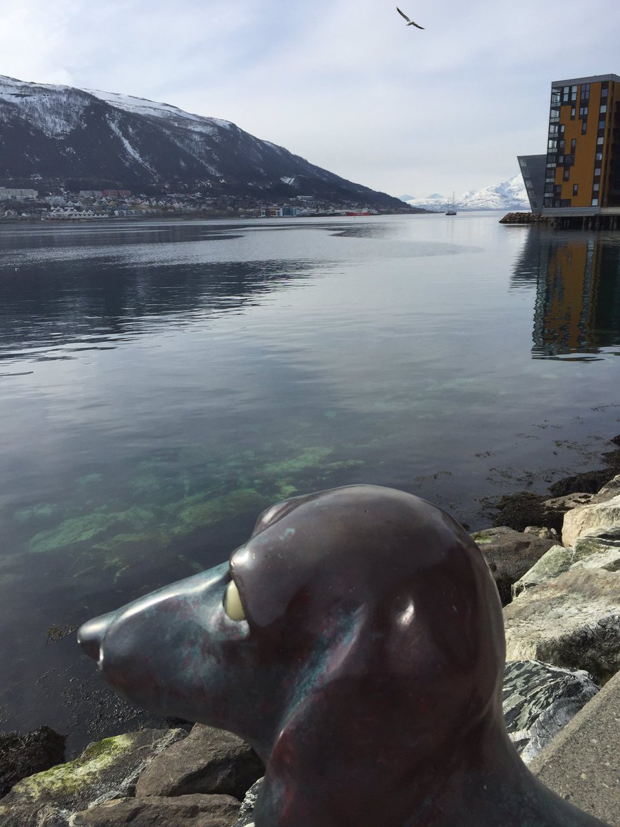 Prestasjonskultur (@prestasjonskult) on Twitter photo 