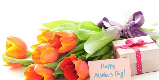 Durban Florist tweet media