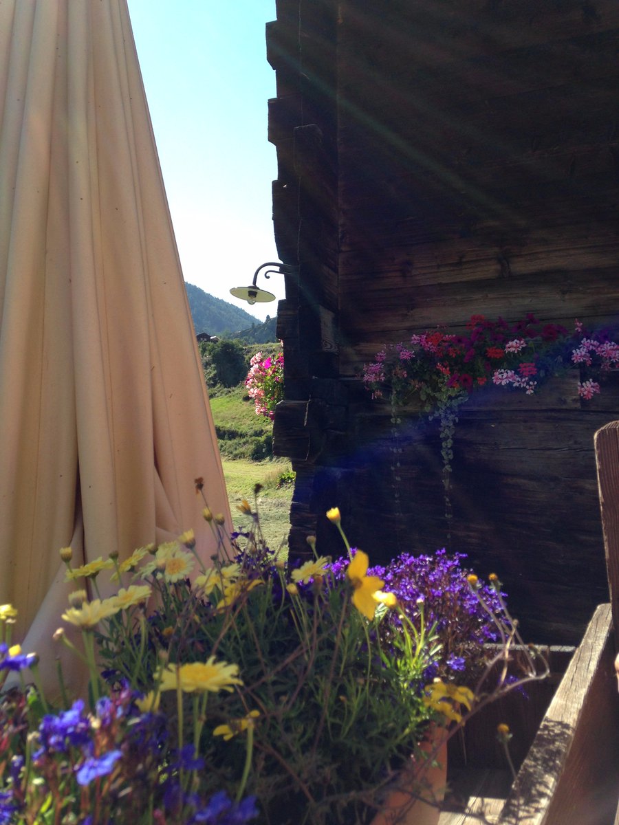 Der Frühling kommt! Wander- &amp; Bikewege Zermatt
web.cadwork.ch/view.php?model…
#zermatt #matterhorn #grandtour #wanderlust