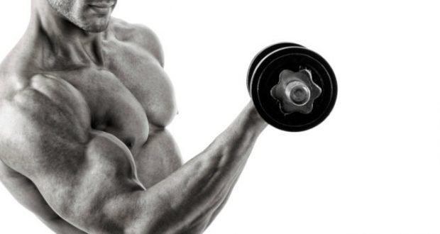 Moncoachdotcom's tweet photo. Marre de vos bras de 30 cm de circonférence ? Lisez ces #conseils pour muscler vos #biceps : https://t.co/K9KgTYODoo https://t.co/4V6PlV8eKZ