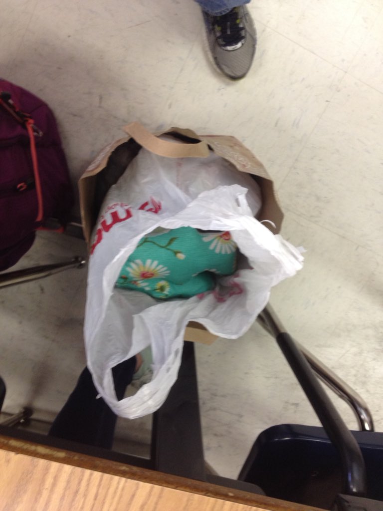 DynamicSamurai1's tweet photo. 20 bears from Maddison! #imsNJHS #imseagles https://t.co/DrpvUO9q72