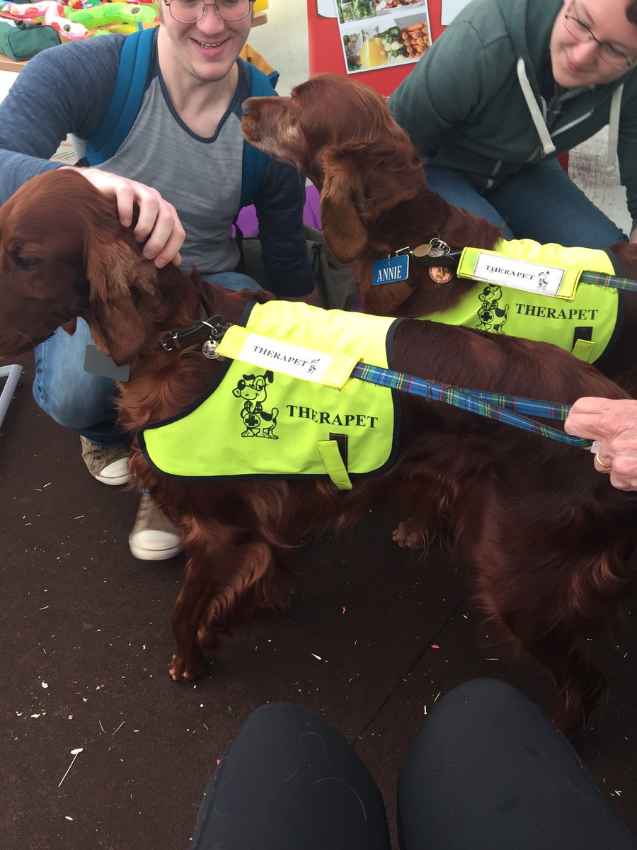 charagorman's tweet photo. Shoutout to @standwellbeing for bringing therapy dogs to the library to quell my final exam mania 🐩🐶🐩 https://t.co/jbWwvs4BSc