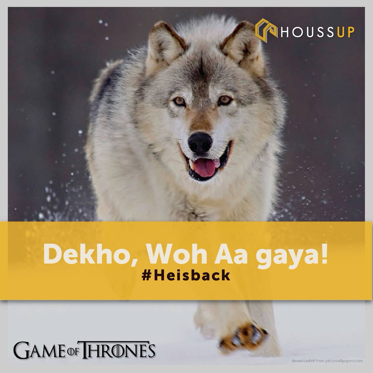 houssup's tweet photo. Now, Let the winter come !!
#GameofThrones #HeIsBack #GoT #HappyDireWolf #Got #houssup !! https://t.co/4OBKYg971g