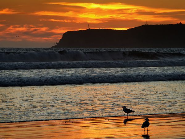 Coronado Beach, California