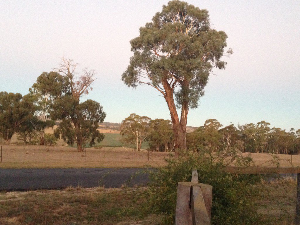 cactusian's tweet image. Day 915 #MyFrontDoor (#MyFrontGate)