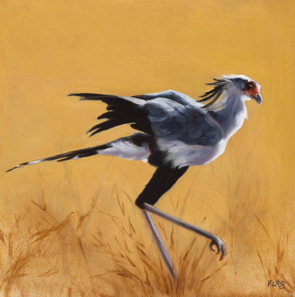 ARTIST OF THE MONTH: Francesca Sanders <a href="/fransandersart/">Francesca Sanders</a>

Image: "Secretary Bird"

Visit: visualarttrader.co.uk/artist_of_the_…