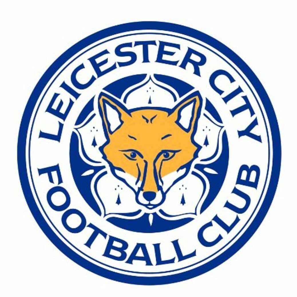 AleixEspargaro's tweet photo. Congrat's to all @LCFC fans, really deserve it!! What an awsome season, some times, dreams come true...!! 👏❤️⚽️ https://t.co/dsosVNnKfB