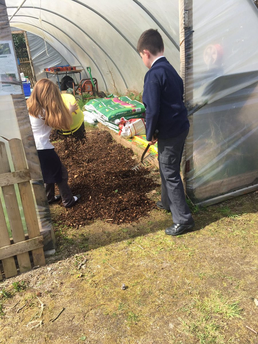 Working hard in the sunshine!