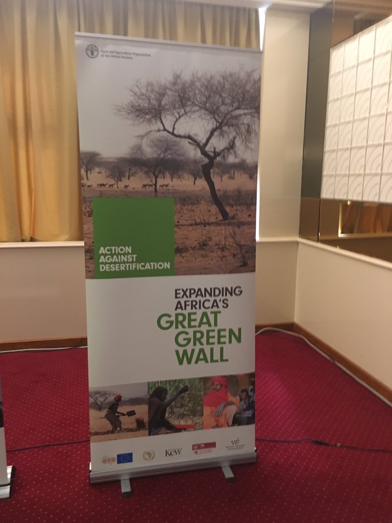 abileoma's tweet photo. #OPENVISTA participe à Dakar â la conférence sur la grande Muraille verte du 2-6 Mai. https://t.co/uq2KzbYPNS