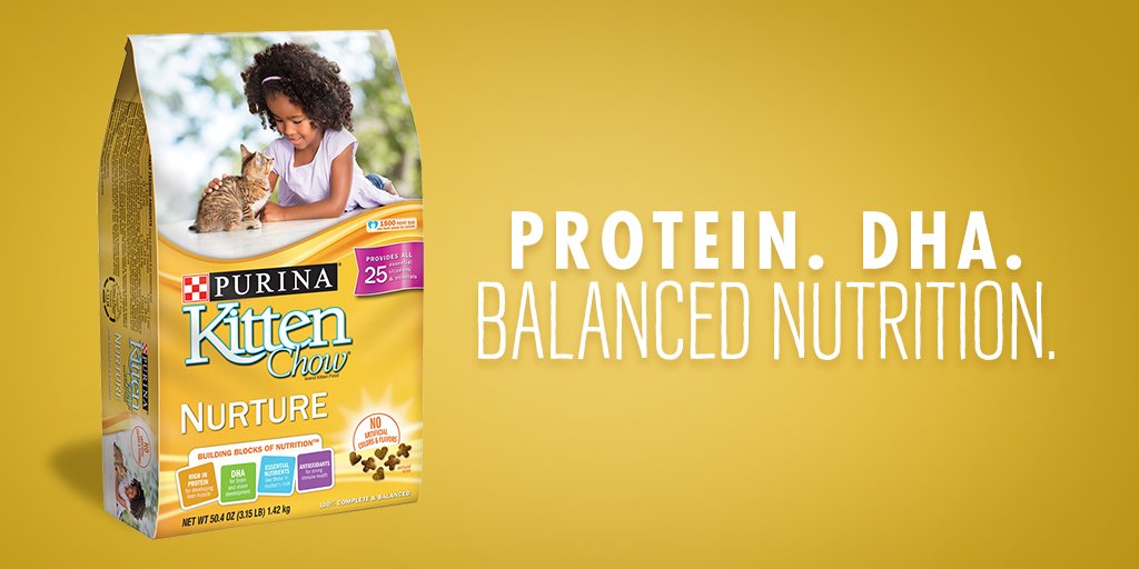 Kittens need the right building blocks for essential nutrition. And Kitten Chow’s got 'em. puri.na/1RWMA3A
