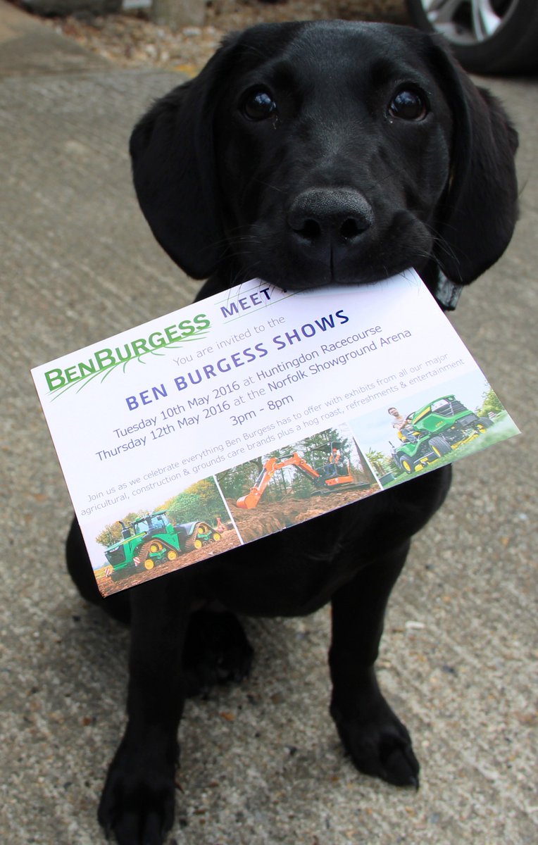 BenBurgessAg's tweet photo. Izzy has been busy delivering BB Show invitations &amp; looks forward to seeing you in a week's time! #Izzysadventures https://t.co/PZEcRkW2oA