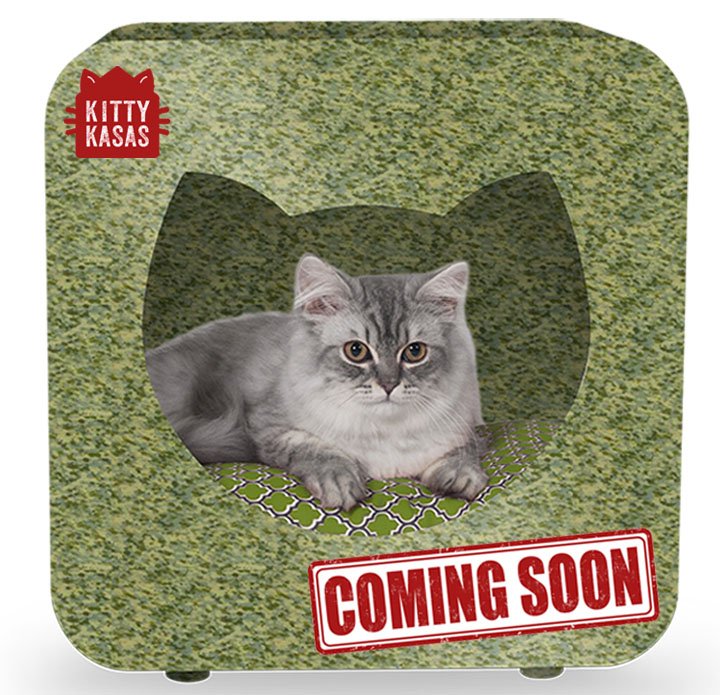 Sneak Peek! Lots of great things happening with our #KittyKasas collection…How do you like this #Camo design? #cats