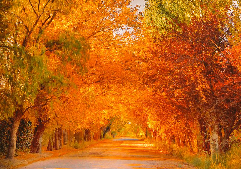narshad11's tweet photo. T-3 Months to the day until the best two years of my life in Argentina 🇦🇷 https://t.co/yM6jlC9P3b