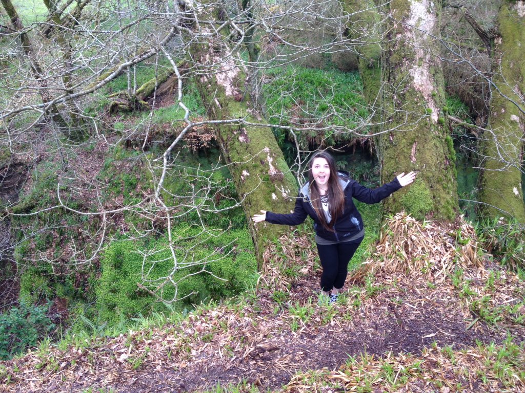 Scotlandlocal's tweet photo. Went to Finnich Glen yesterday to see an amazing red river. https://t.co/eNfPQTCTRO