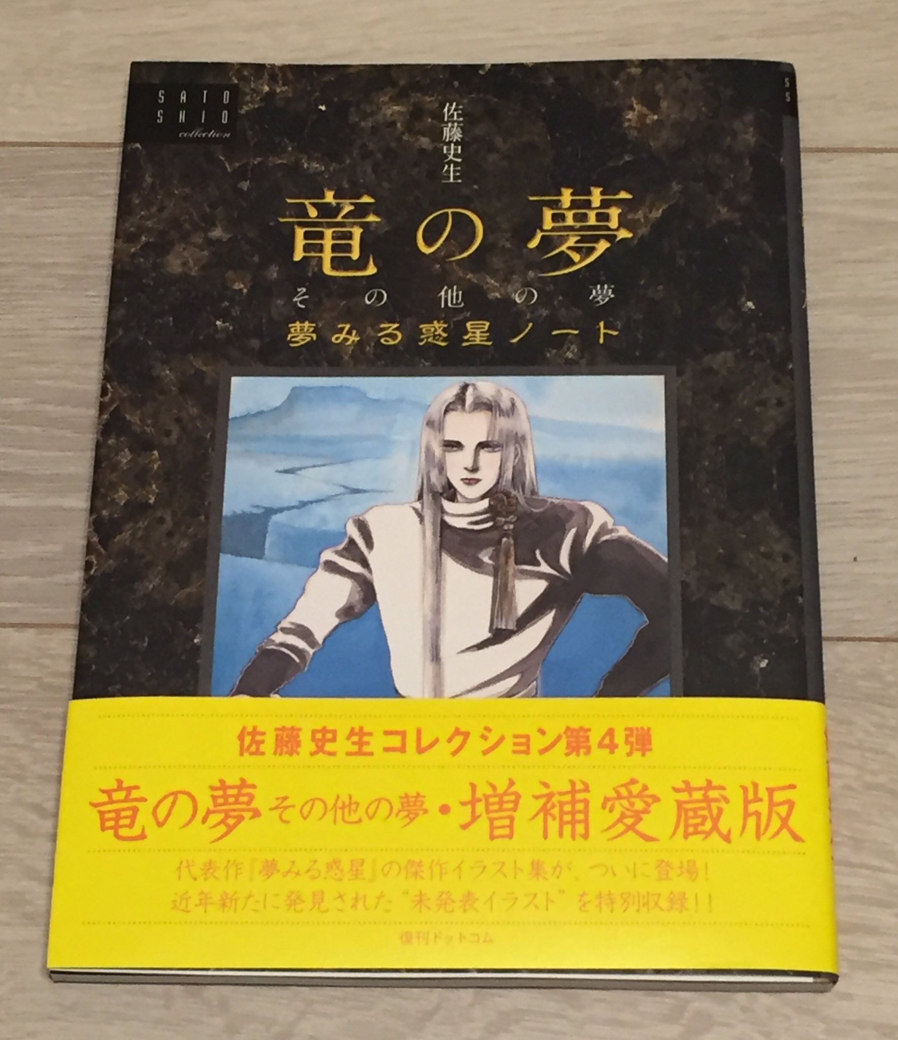 最も共有された 佐藤史生 イラスト集 竜の夢その他の夢