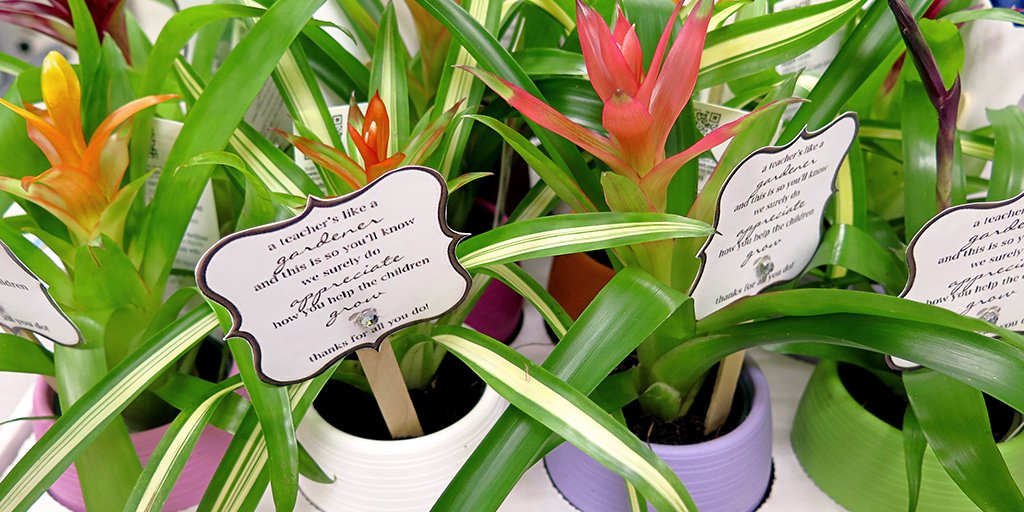 Global Community CS tweet media