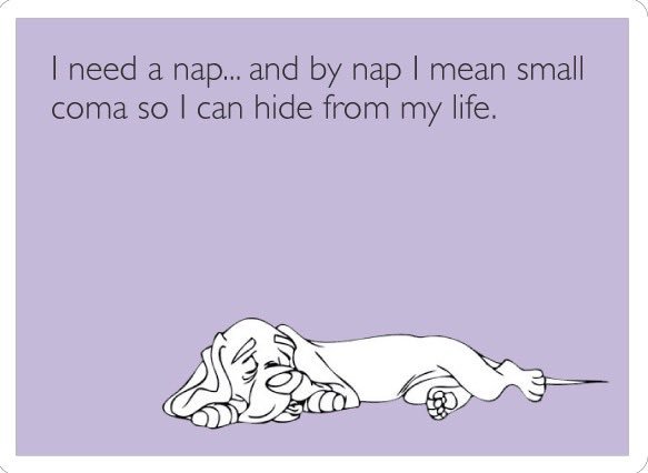 AuburnHealth's tweet photo. #finalsweek #napsfordays #21daysof laughter #laughmore https://t.co/gkuu0AyMxw