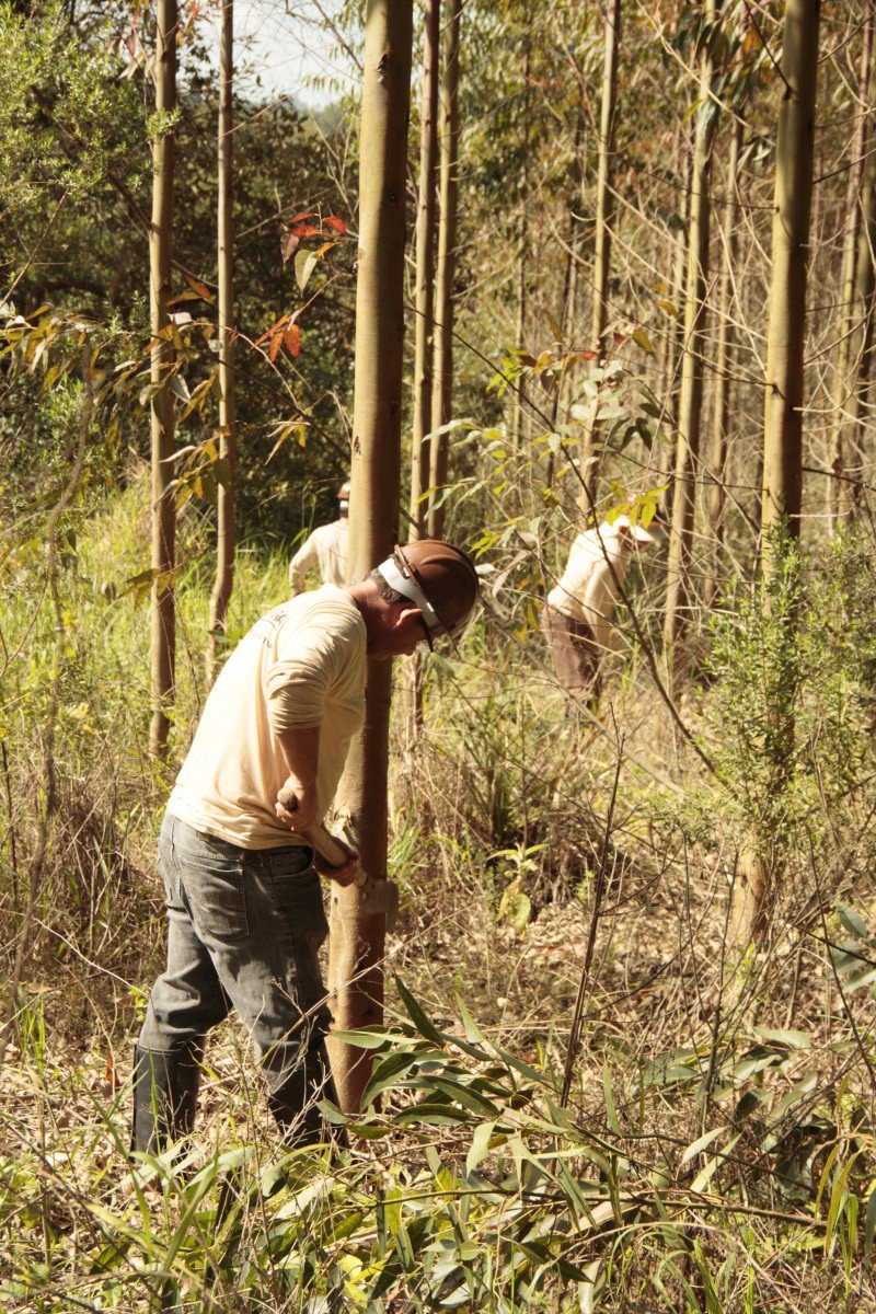 Brforestslb_en's tweet photo. Become a landowner with SLB!
https://t.co/U0UJeQgAnL https://t.co/8sTbKRZ67c