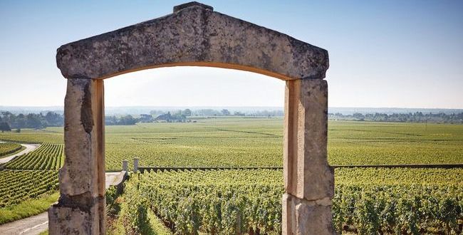 lefigarovin's tweet image. Voyage au coeur de la Côte de Beaune bit.ly/1X6mGNf