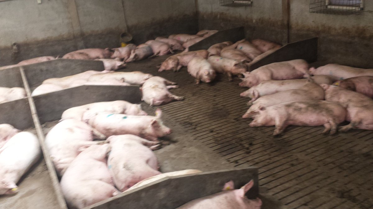 <a href="/bontruplinda/">linda Bontrup</a> 
Lepeltje lepeltje