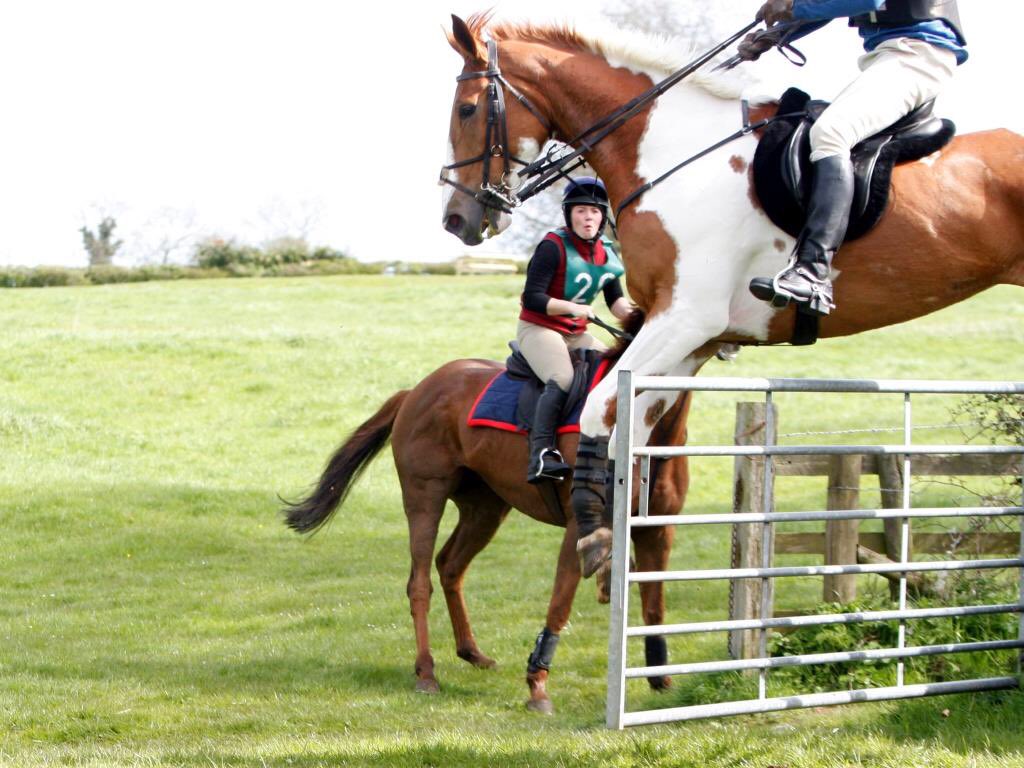 Daylesford Hunt Cup tweet media