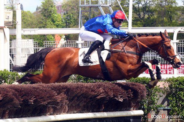 Jour_de_Galop's tweet photo. JDG Flash Info : King's Socks sans forcer dans le Prix Durtain (L) https://t.co/s2miW3Wnfn