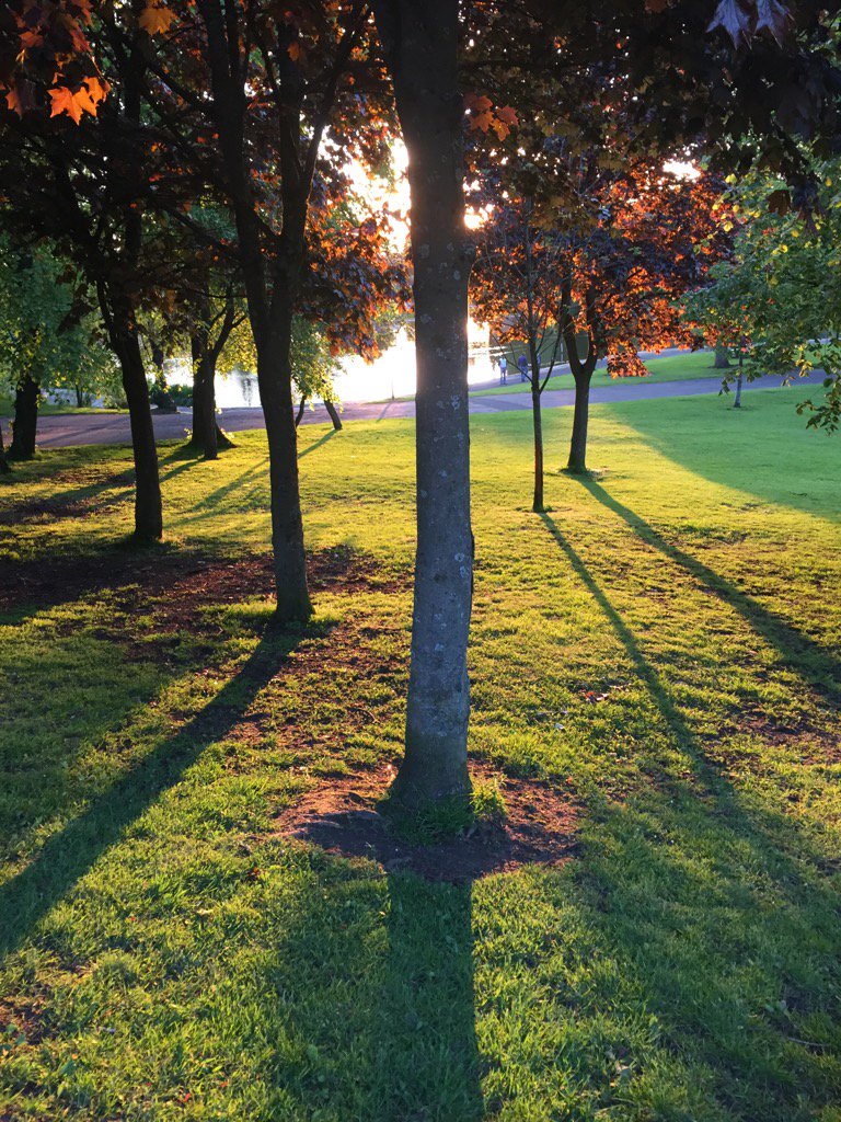 thelilacbus's tweet photo. Queens Park #glasgow #eveningwalk @Glasgow_Live @WhatsOnGlasgow @peoplemakeGLA https://t.co/CpIUX5O5NJ