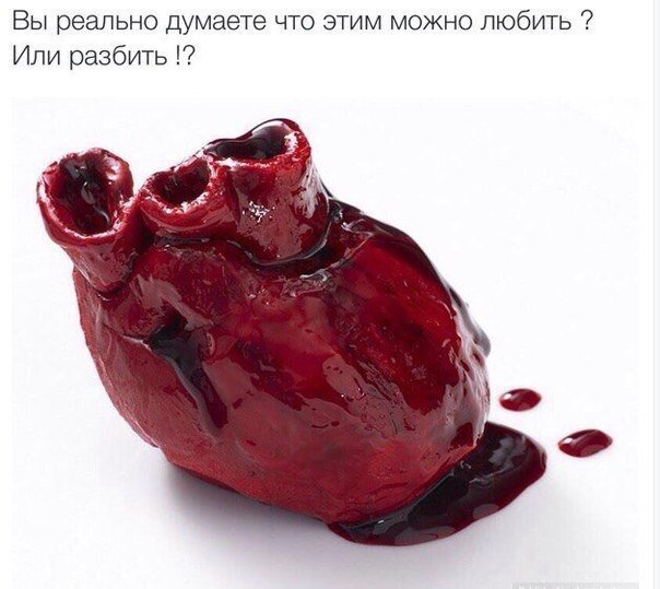 toothdevil4's tweet image. 