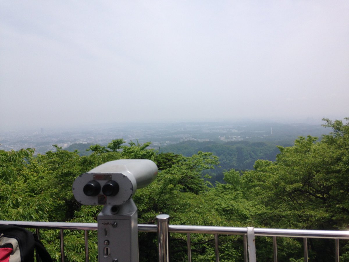 綺麗でした