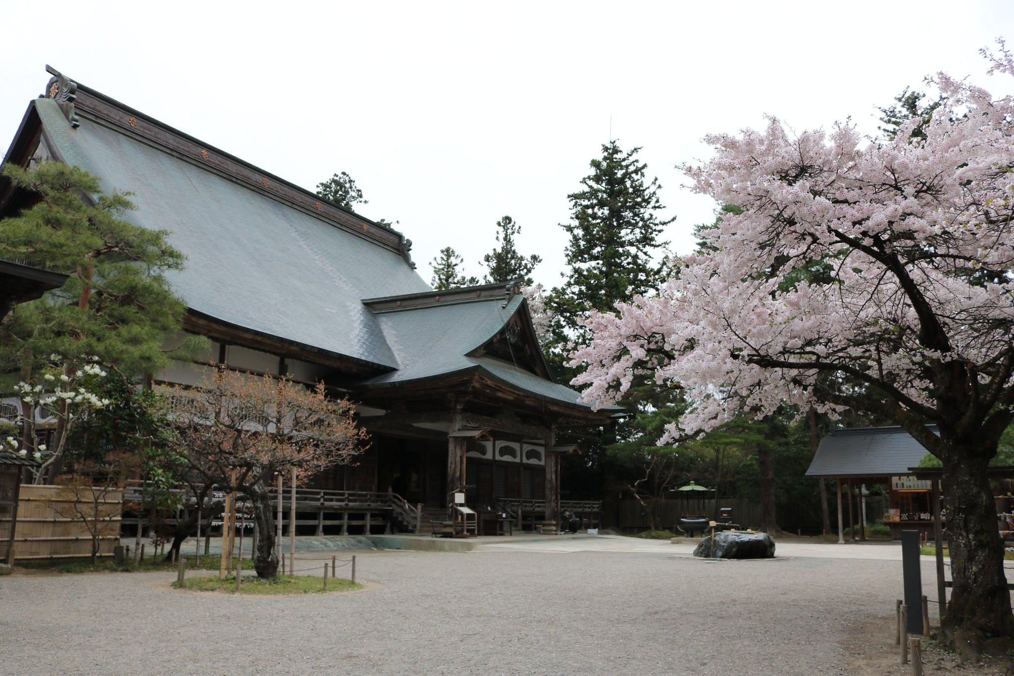 Tokyo Tweet Bird در توییتر Sakura フォトフェスティバル 16 中尊寺 の 桜 です 古代日本で高い地位を誇っていた武士の藤原氏が拠点としていた寺です 中尊寺の本堂や 金色堂 には桜が春の雰囲気に彩っていました