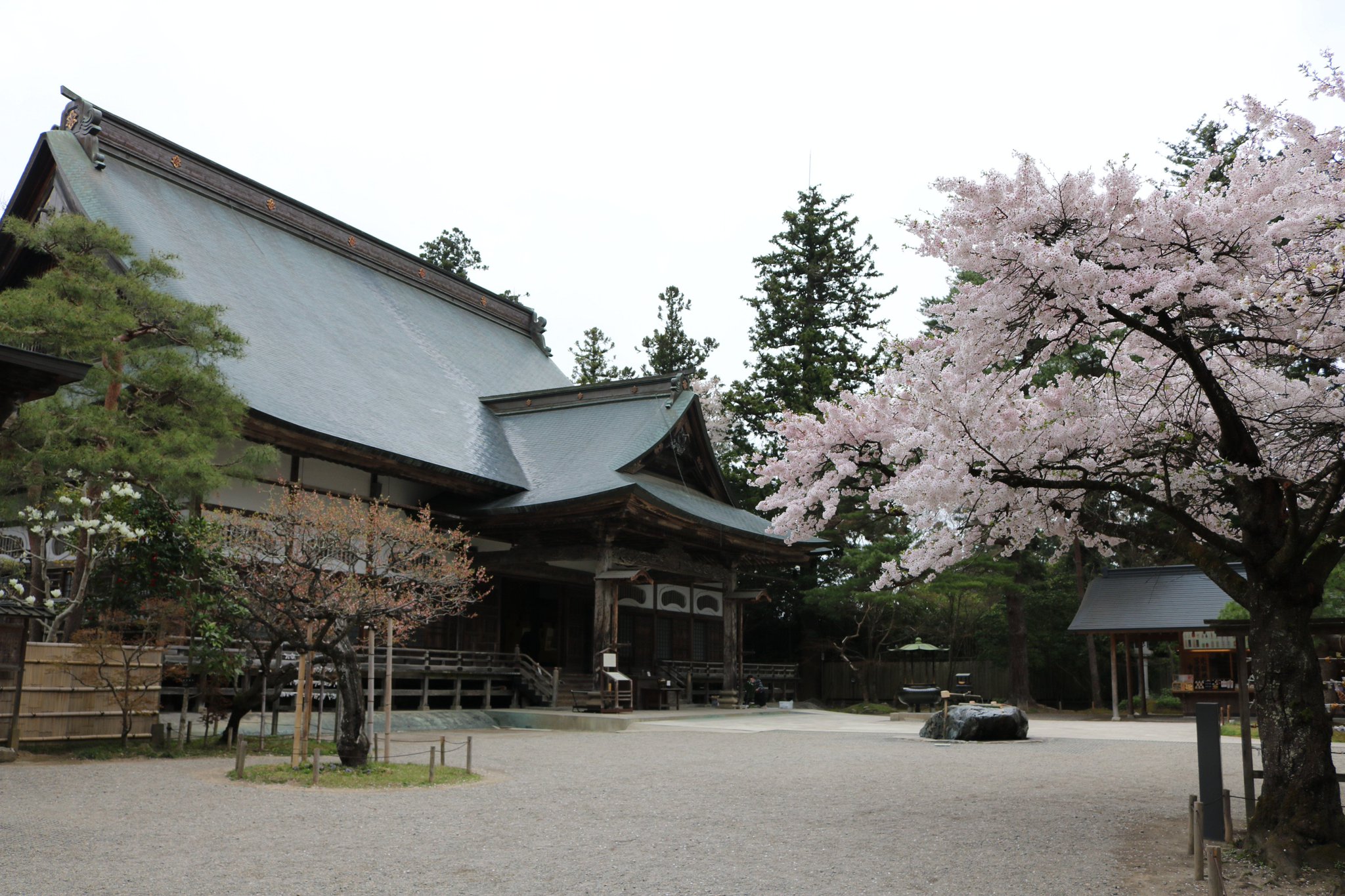 Tokyo Tweet Bird در توییتر Sakura フォトフェスティバル 16 中尊寺 の 桜 です 古代日本で高い地位を誇っていた武士の藤原氏が拠点としていた寺です 中尊寺の本堂や 金色堂 には桜が春の雰囲気に彩っていました Tokyo Tweet Bird در توییتر Sakura フォトフェスティバル 16 中尊寺 の 桜 です 古代日本で高い地位を誇っていた武士の藤原氏が拠点としていた寺です 中尊寺の本堂や 金色堂 には桜が春の雰囲気に彩っていました