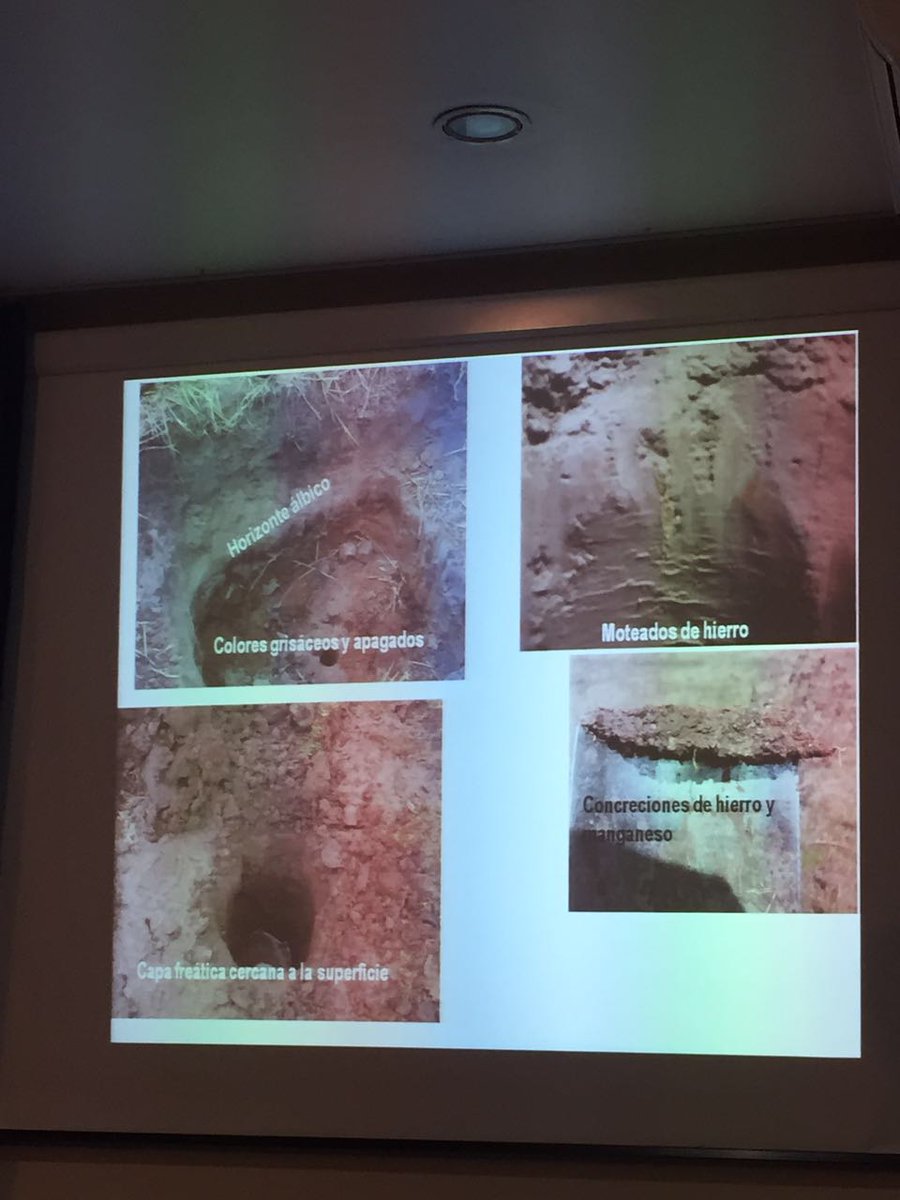 "Hoy se le echa la culpa a la soja, pero si hiciéramos monocultivo de cualquier otra cosa, sería lo mismo" Taboada