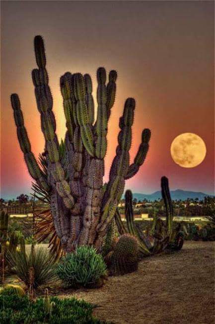 JoseMAlfonso9's tweet photo. @_ArtLoveYou_RT @beatshoney @ElektraButler @_ArtLoveYou_ https://t.co/87ZDR8iTSN